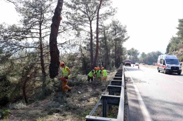 Muğla’da yangın sezonu öncesi Sakar Geçidi’nde riskli dallar temizleniyor 