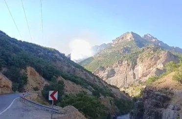 Munzur Vadisi Milli Parkı’nda örtü altı yangınına müdahale sürüyor 