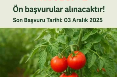 Muradiye’de "Domates Yetiştiriciliği" projesi için ön başvurular başladı 