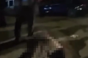 Muş-Bitlis yolunda otomobilin çarptığı yaşlı kadın hayatını kaybetti 