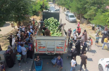 Muş karpuzu 8 mahallede vatandaşlara ücretsiz dağıtıldı 