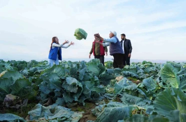 Muş Ovası’nda gönüllü gençlerden çiftçilere hasat desteği 