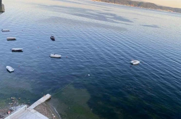 Müsilajın ardından Gemlik Körfezi’nde sevindiren görüntüler 
