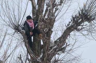 Muş’ta besicilerden alternatif yem yöntemi 