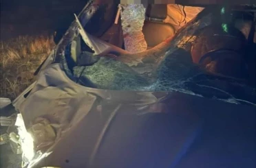 Muş’ta hafif ticari araç ata çarptı: 2 yaralı 