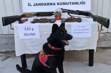 Muş’ta jandarmadan uyuşturucu ve silah operasyonu 