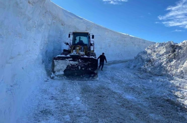 Muş’ta kapanan tüm köy yolları ulaşıma açıldı 