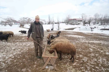 Muş’ta kış ve bahar aynı anda yaşanıyor 