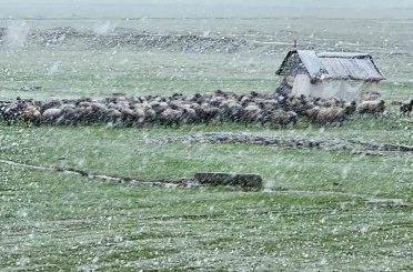 Muş’ta nisan karı etkisini sürdürüyor: 22 köy yolu ulaşıma kapandı 