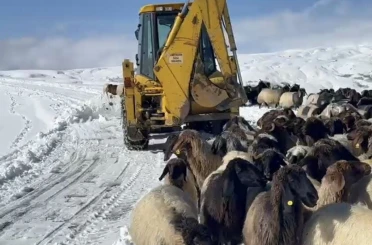 Muş’ta yoğun kar yağışı 