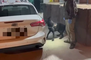 Narkotik dedektör köpeği aracın döşemesine gizlenmiş uyuşturucu buldu: 3 gözaltı 