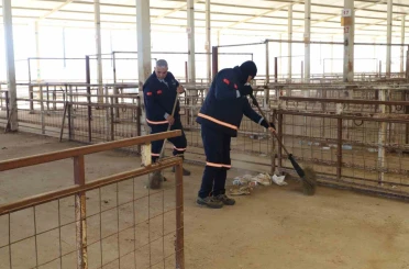 Nazilli Hayvan Pazarı 7 ay sonra yeniden açılıyor 