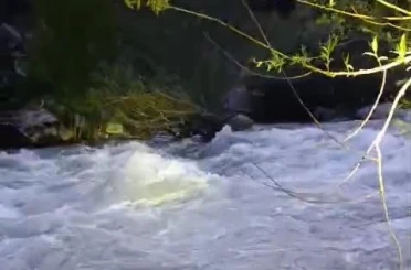 Nehirde kaybolan şahıs için arama çalışması başlatıldı 