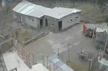 Nevşehir’de fırtına ağıl ve mandırayı vurdu: 12 koyun telef oldu 