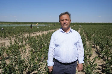 Niğde, elma fidanı üretiminde Türkiye’nin öncüleri arasında