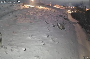 Niğde’de aç kalan kurtlar köye indi 