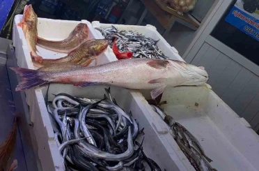 Oltayla yakalanan deniz levreği 9 bin liraya satıldı 