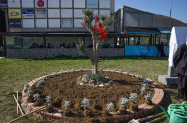 OMÜ’de Filistin için "zeytin ağacı anıtı" dikildi 