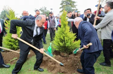Ordu’da 350 bin fidan toprakla buluşturulacak 