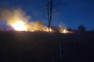 Ordu’da fındık bahçesinde yangın 