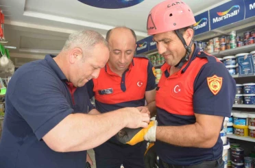 Ordu’da itfaiye ekipleri, ebabil kuşu için seferber oldu 