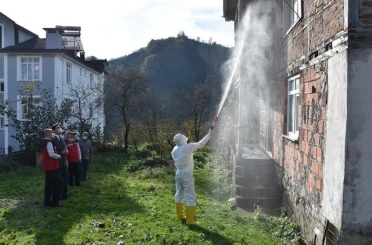 Ordu’da kokarcaya karşı 330 bin kışlak ilaçlanacak 