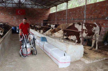 Ordu’da sütün değeri artıyor 