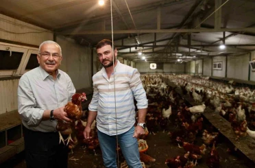 Ordu’da yumurta üretimi, verilen destekler ile zarardan kara dönüştü: İlin ekonomisine yıllık 500 milyon lira gelir 
