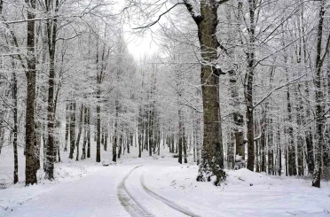 Ordu’nun 15 ilçesinde eğitime kar engeli 