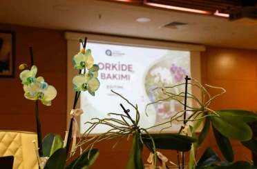 Orkide bakımı uygulamalı olarak anlatıldı 