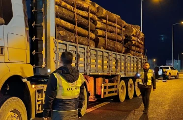 Orman denetimleri sürdürülüyor 