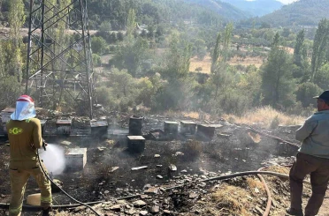 Ormancı Türküsü’nün yakıldığı Gevenes’te bu defa arı kovanları yandı 