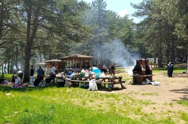 Ormanlık alan ve çevresinde ateş yakılması yasaklandı 