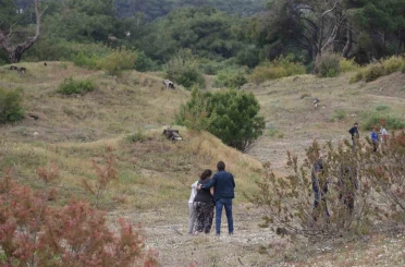 Ormanlık alanda bir kişinin cansız bedeni bulundu 