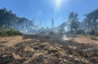 Ormanlık alanda çıkan yangın büyümeden söndürüldü 