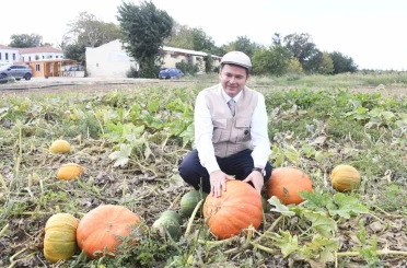 Osmangazi Belediyesi ata tohumlarını geleceğe taşıyor 