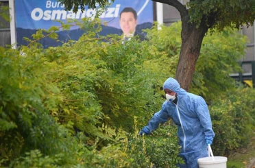 Osmangazi’de kemirgenlere karşı ilaçlama çalışması başlatıldı 