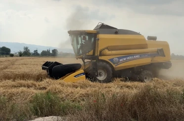 Osmaniye’de 15 gün gecikmeli başlayan hasatta yüksek verim sevinci 