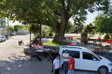 Osmaniye’de 260 yıllık çınar yaz sıcağında doğal klima oluyor 