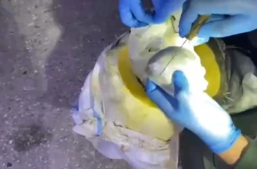 Osmaniye’de bal kabağından uyuşturucu çıktı 