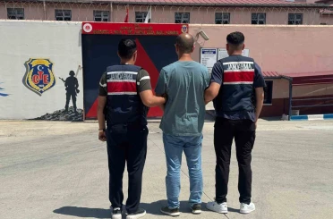 Osmaniye’de El-Kaide operasyonu: 1 tutuklama 