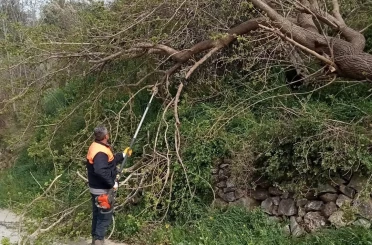 Osmaniye’de fırtına etkili oldu, devrilen ağaçlar yolları kapattı 