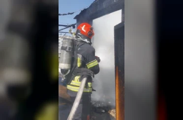 Osmaniye’de kümes yangınında 7 güvercin telef oldu, kuşların sahibi yaralandı 