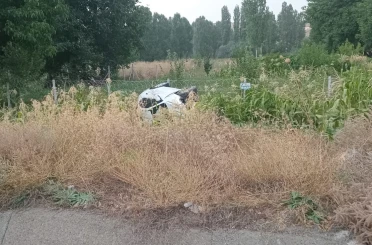 Otomobil mısır ekili araziye devrildi: 2 yaralı