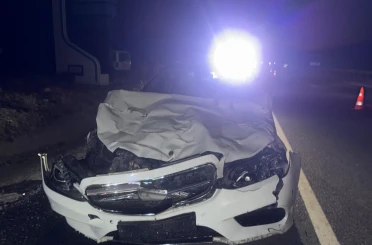 Otomobilin çarptığı 3 inek telef oldu