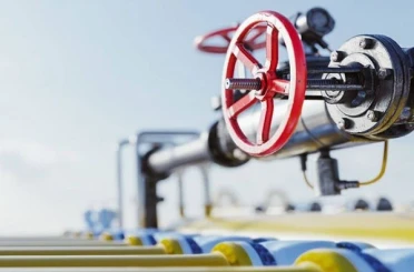 PALEN, kış ortasında dondurdu 