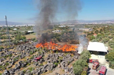 Palet fabrikasındaki yangın havadan görüntülendi 