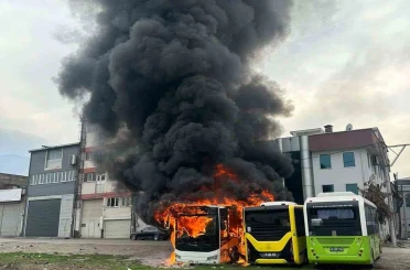 Park halindeki otobüsler cayır cayır yandı 