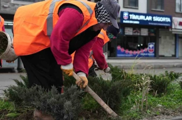 Park ve yeşil alanlarda peyzaj çalışmaları sürüyor 