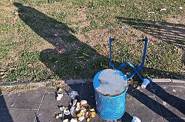 Parklara zarar veren şahıslar tespit edilecek 